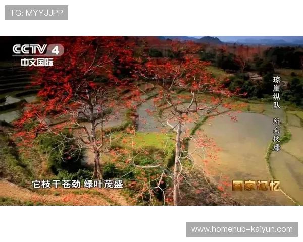 赛事执行手册在本季度实现数字化动态更新 确保岗位指令下达无偏差